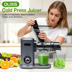 Cold Press Juicer, Slow Masticating Juicer Machines with Extra Wide Feed Chute, High Juice Yield and Easy to Clean for Whole Vegetables & Fruits, Silver
