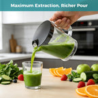Centrifugal Juicer Machines, 500W Juice Extractor with 2 Feed Chute and Pallet for Vegetable and Fruit, Electric Juicer with 3 Speed Quick Juicing, Easy to Clean, BPA-Free, Silver