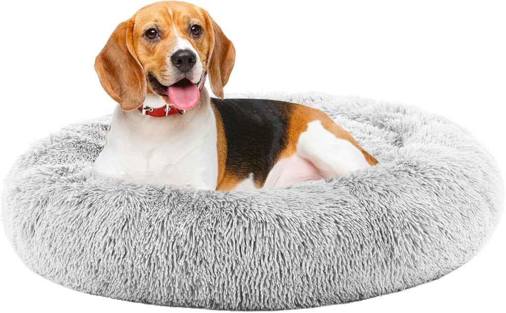 42x32 Inch Orthopedic Dog Beds for XL Large Sized Dogs, Machine Washable Cover Pet Bed, Anti-Slip Waterproof Memory Foam Couch Bed for Indoor Dogs and Cats, Grey