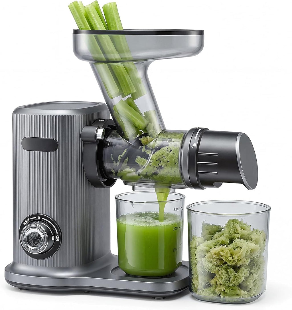 Cold Press Juicer, Slow Masticating Juicer Machines with Extra Wide Feed Chute, High Juice Yield and Easy to Clean for Whole Vegetables & Fruits, Silver