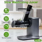 Cold Press Juicer, Slow Masticating Juicer Machines with Extra Wide Feed Chute, High Juice Yield and Easy to Clean for Whole Vegetables & Fruits, Silver