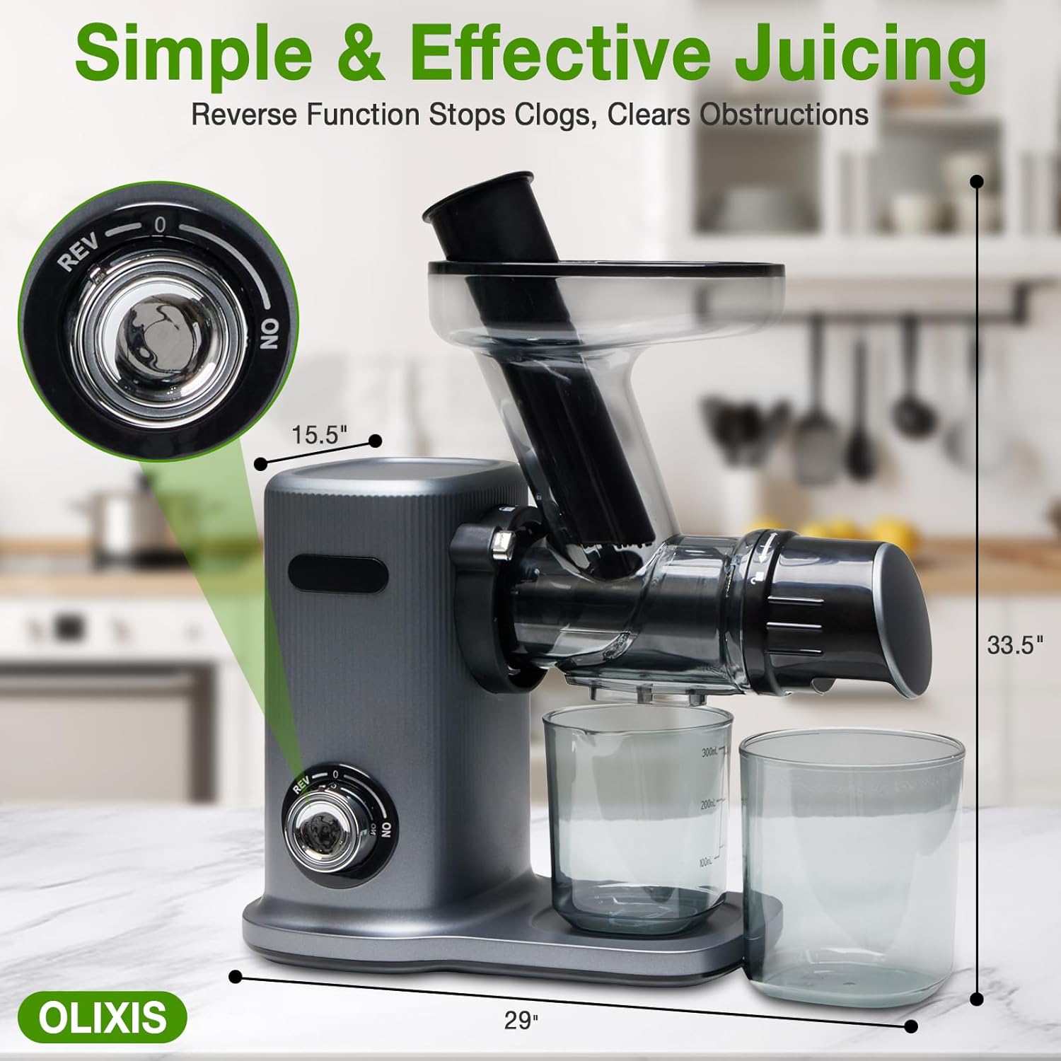 Cold Press Juicer, Slow Masticating Juicer Machines with Extra Wide Feed Chute, High Juice Yield and Easy to Clean for Whole Vegetables & Fruits, Silver