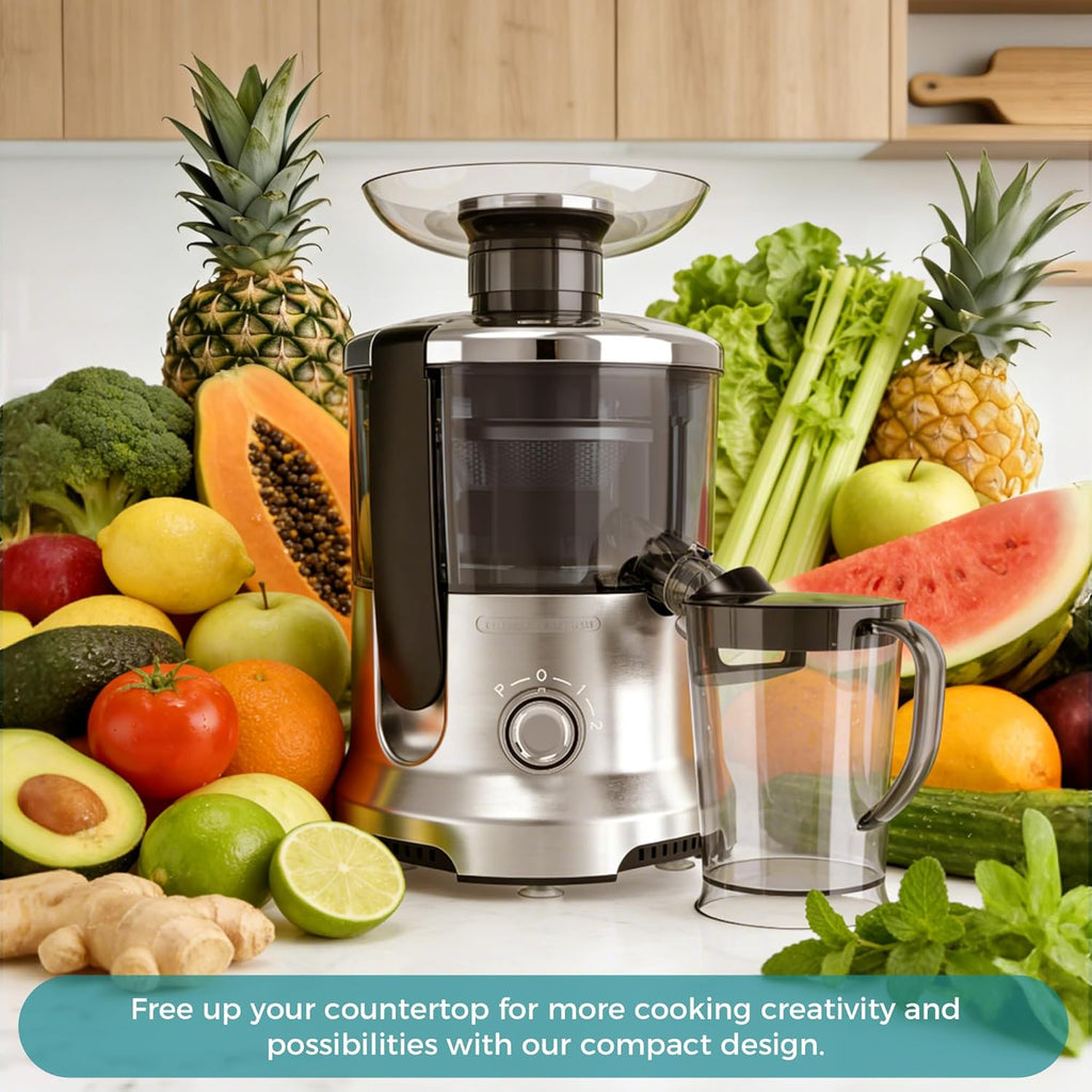 Centrifugal Juicer Machines, 500W Juice Extractor with 2 Feed Chute and Pallet for Vegetable and Fruit, Electric Juicer with 3 Speed Quick Juicing, Easy to Clean, BPA-Free, Silver