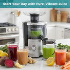 Centrifugal Juicer Machines, 500W Juice Extractor with 2 Feed Chute and Pallet for Vegetable and Fruit, Electric Juicer with 3 Speed Quick Juicing, Easy to Clean, BPA-Free, Silver
